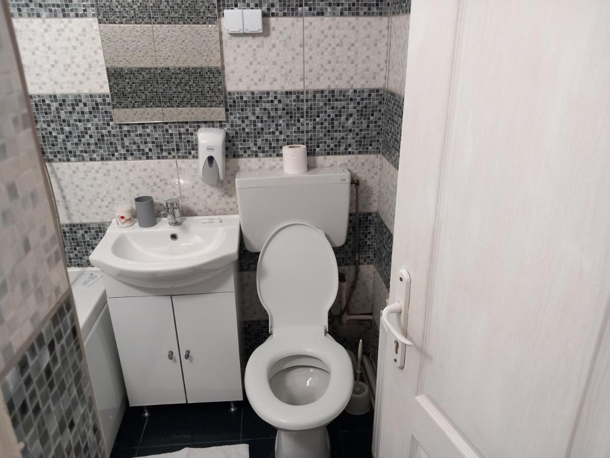 Vila Davison Târgu Jiu Buitenkant foto