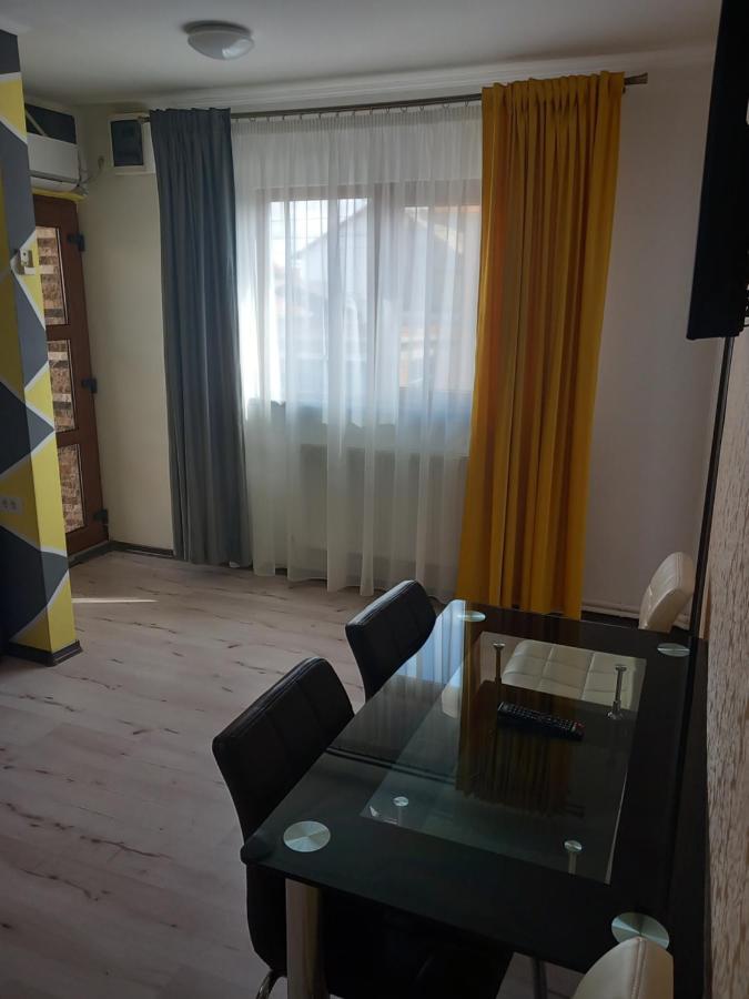 Vila Davison Târgu Jiu Buitenkant foto