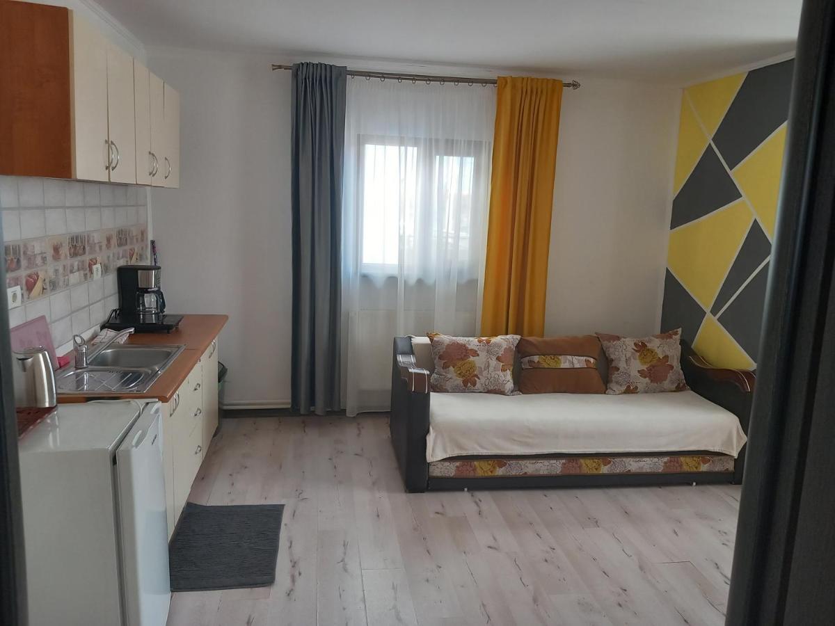 Vila Davison Târgu Jiu Buitenkant foto