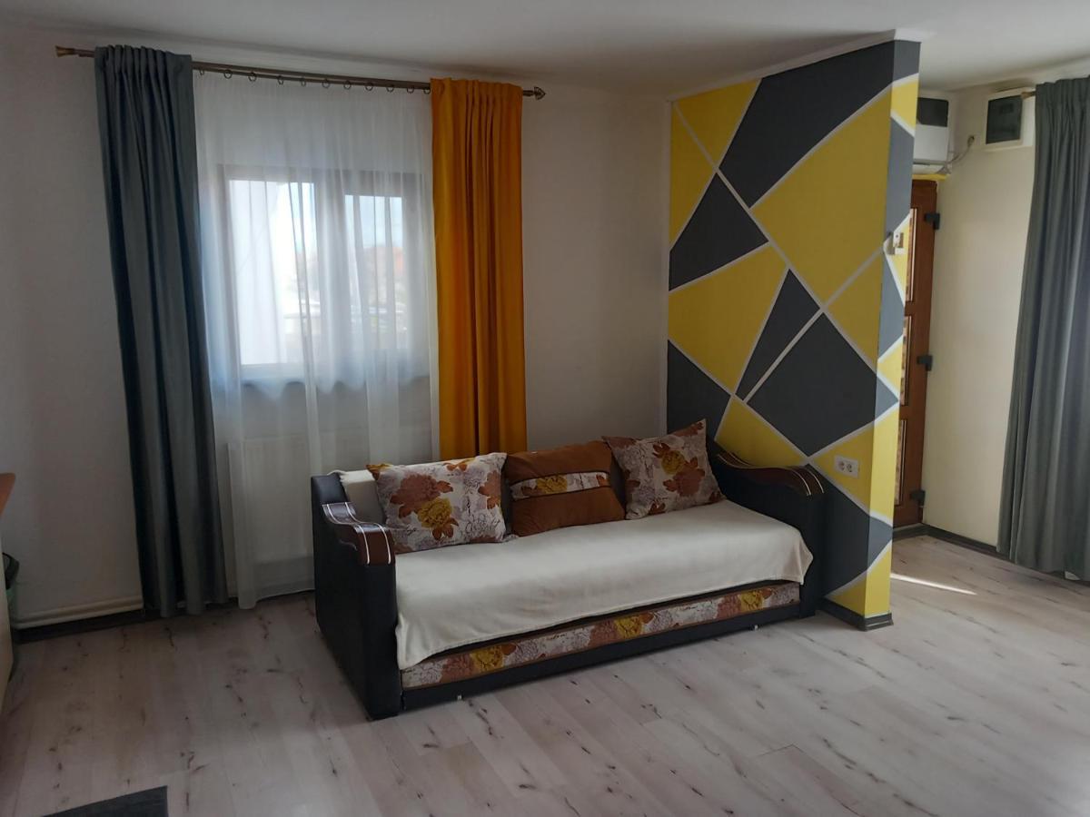 Vila Davison Târgu Jiu Buitenkant foto