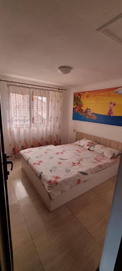 Vila Davison Târgu Jiu Buitenkant foto